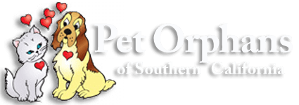 Pet Orphans of Southern California